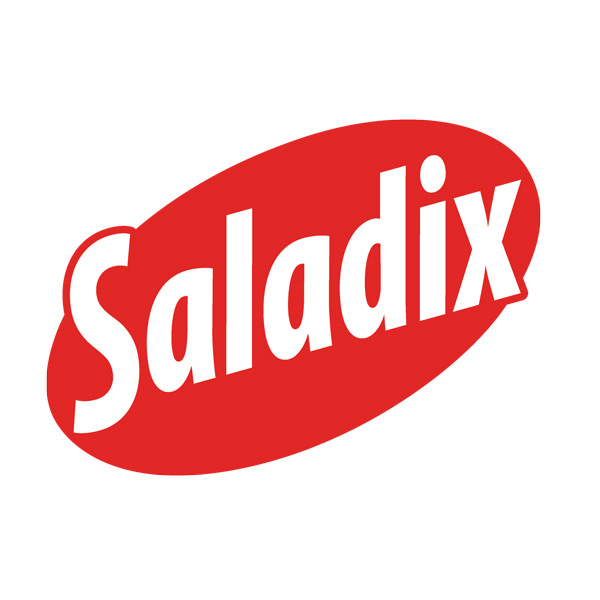 Logo Saladix